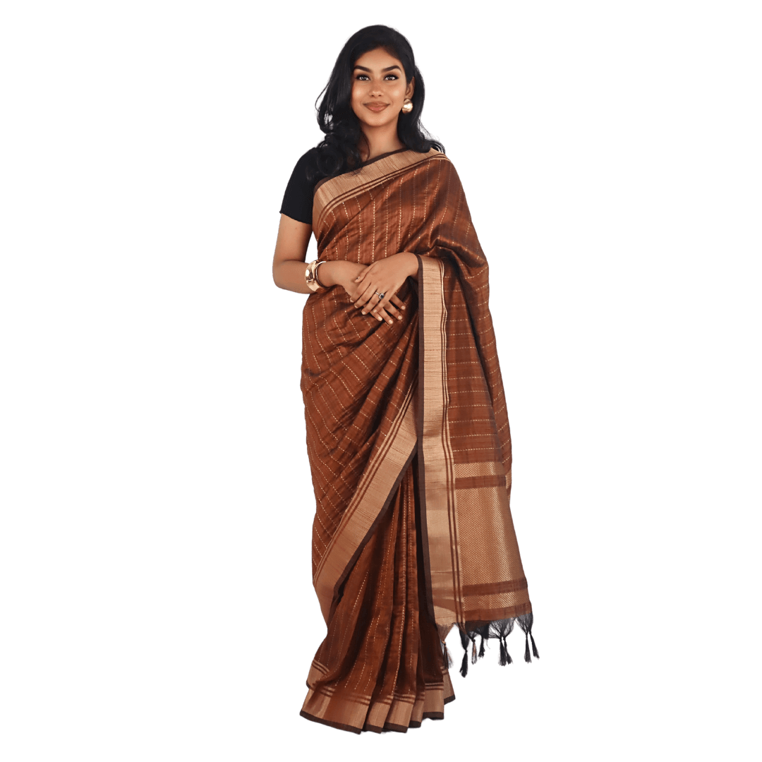 Brown Banarasi Raw Silk Saree with Zari Border