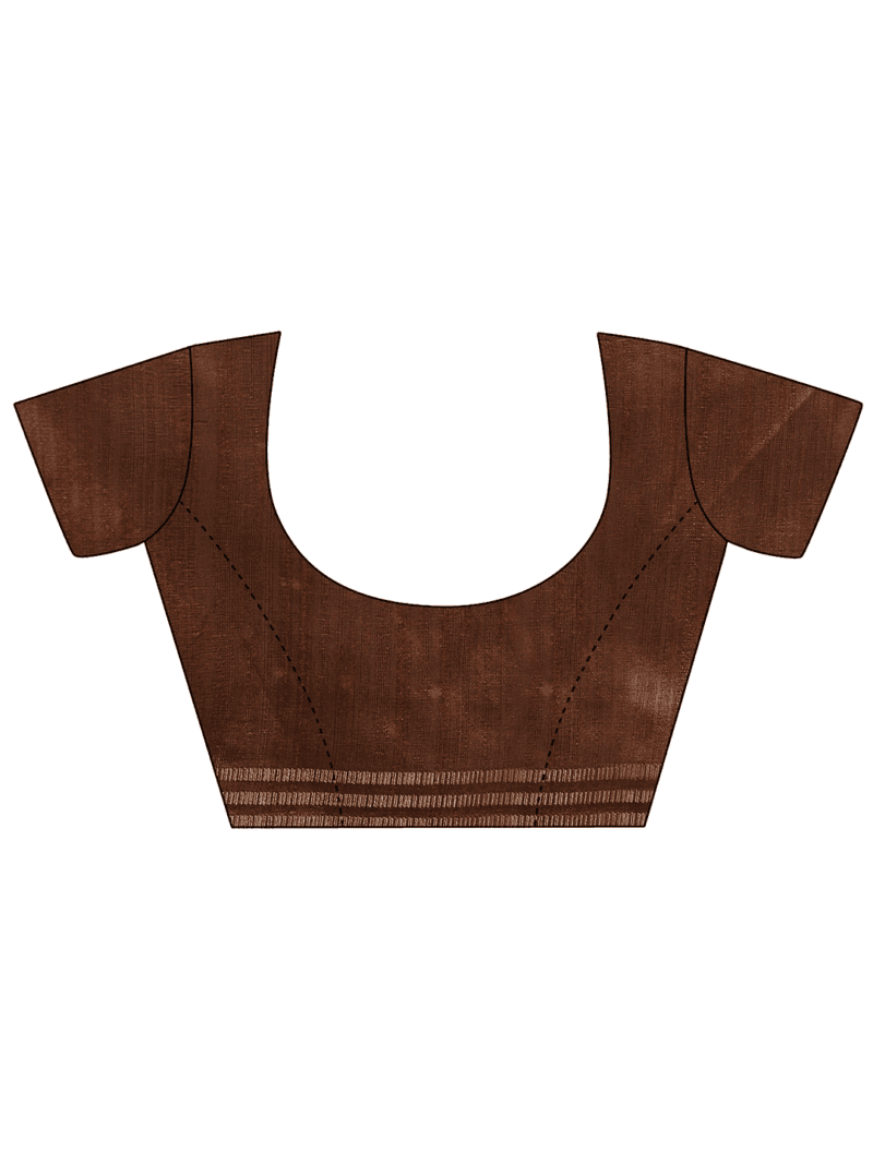 Brown Banarasi Raw Silk Saree with Zari Border - Image 8